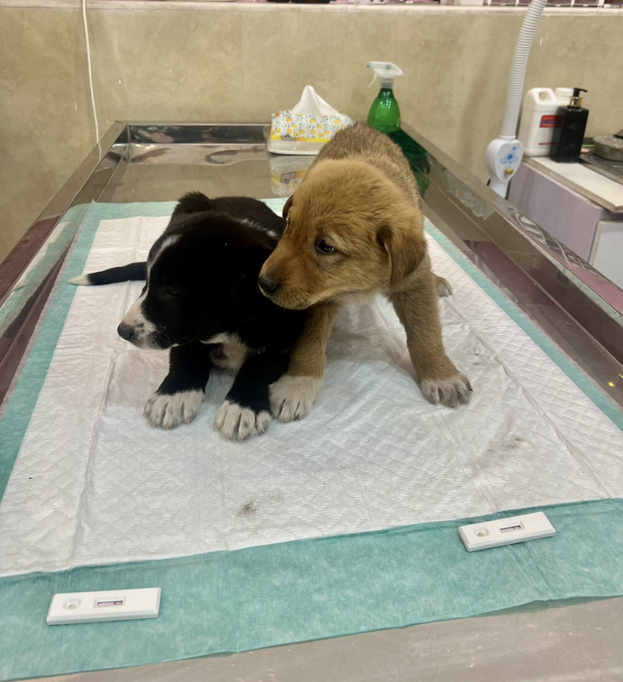 تشخیص و درمان